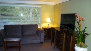 A living room with a sofa, a television, a lamp, and a potted plant.