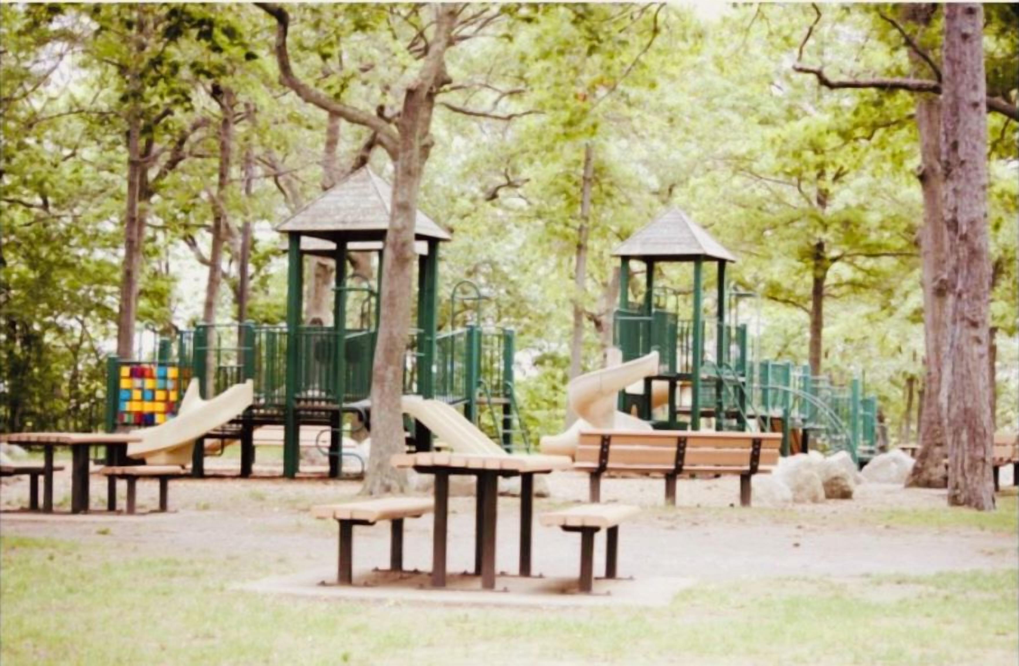Une aire de jeux avec des toboggans, des balançoires et des tables de pique-nique dans un parc.