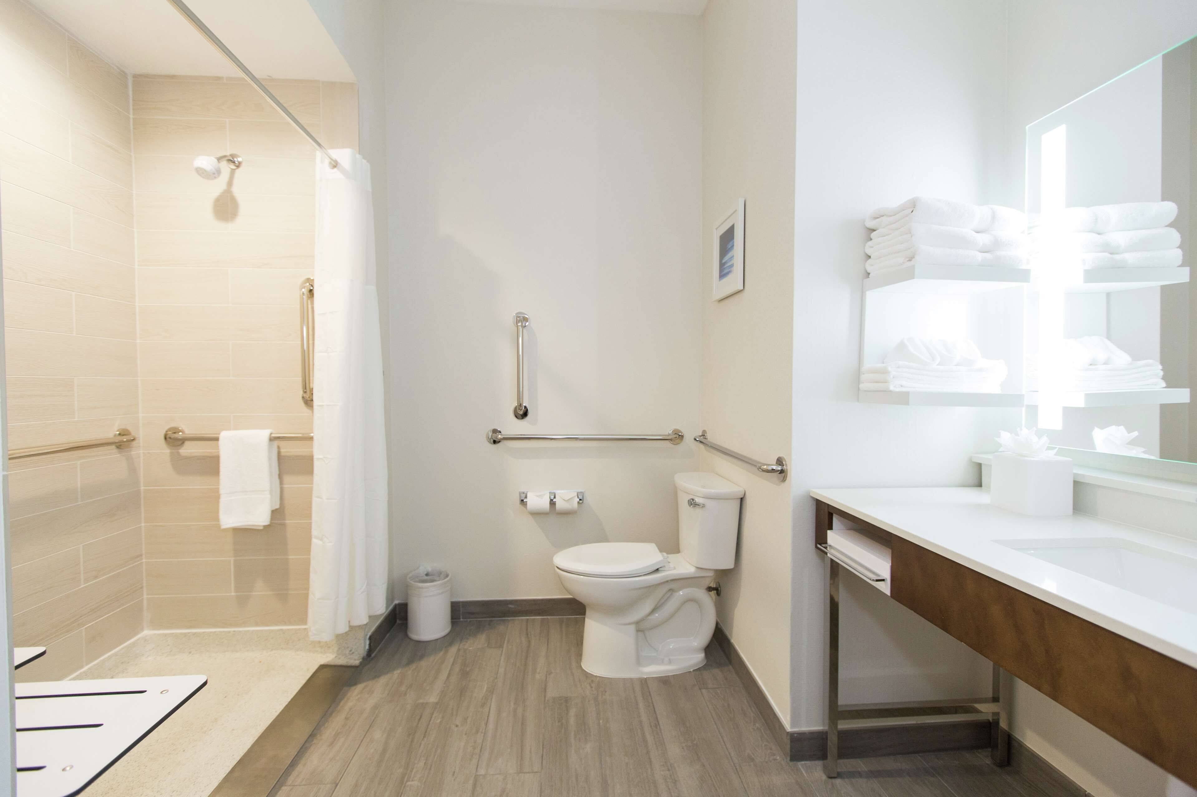 room, 1 king bed, accessible | bathroom shower