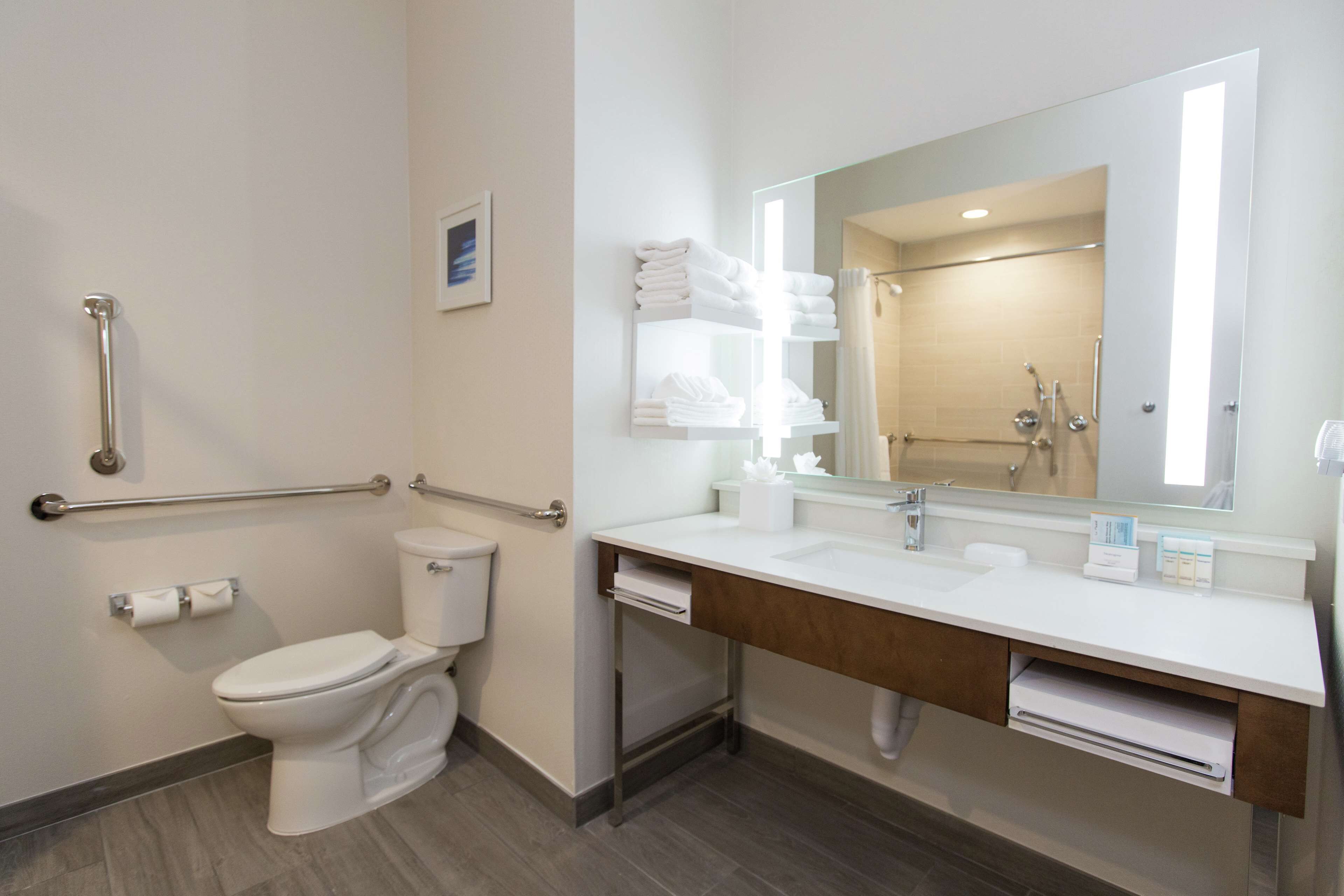 room, 1 king bed, accessible | bathroom shower