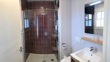 A modern bathroom with a glass-enclosed shower, a white sink, and a mirror above the sink.