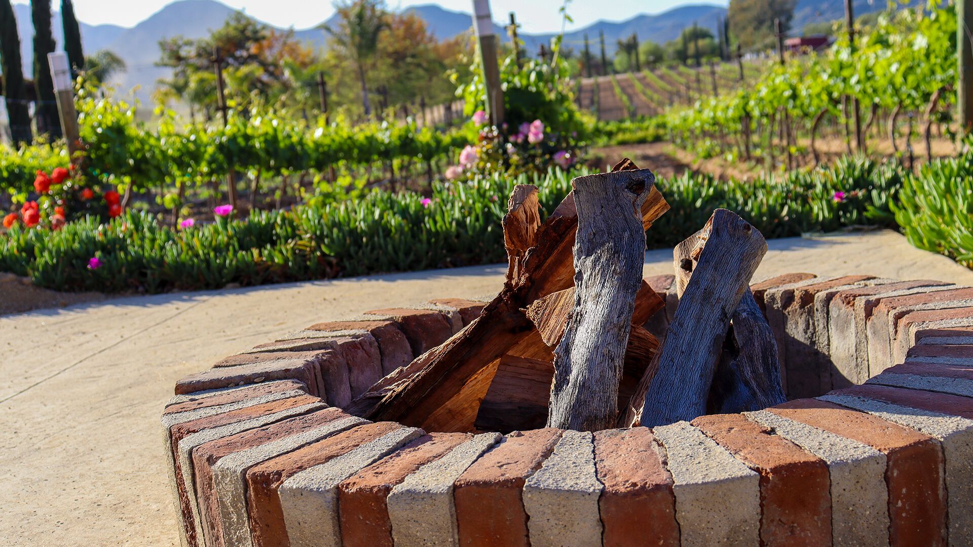 A circular brick fire pit with logs, surrounded by a garden with various plants and flowers.