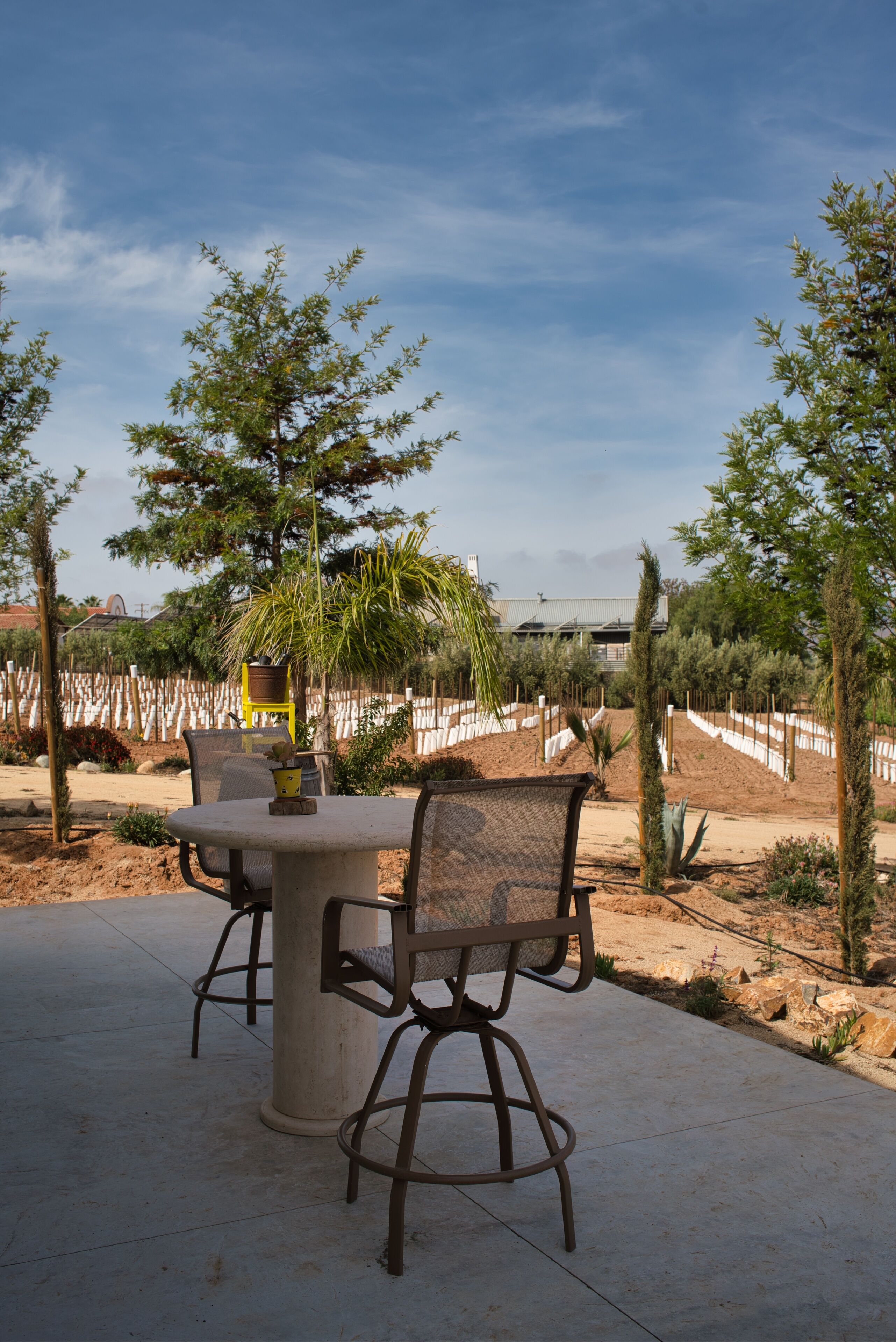 luxury room, 1 king bed, non smoking, villa siena | terrace/patio