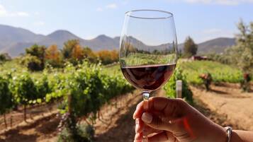 A hand holding a wine glass with a vineyard in the background.