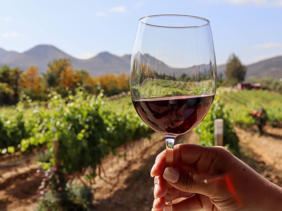 A hand holding a wine glass with a vineyard in the background.