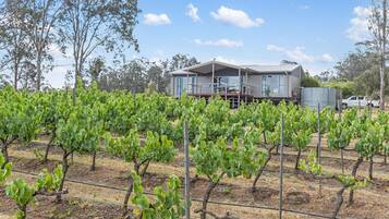 Vineyard Retreat | Garden view