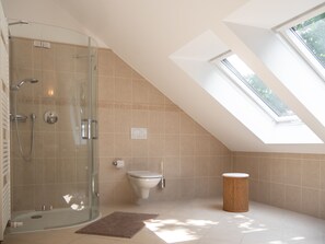 Shower, free toiletries, hair dryer, towels - Reiterhof und Pension Eichenhof (Haiger)