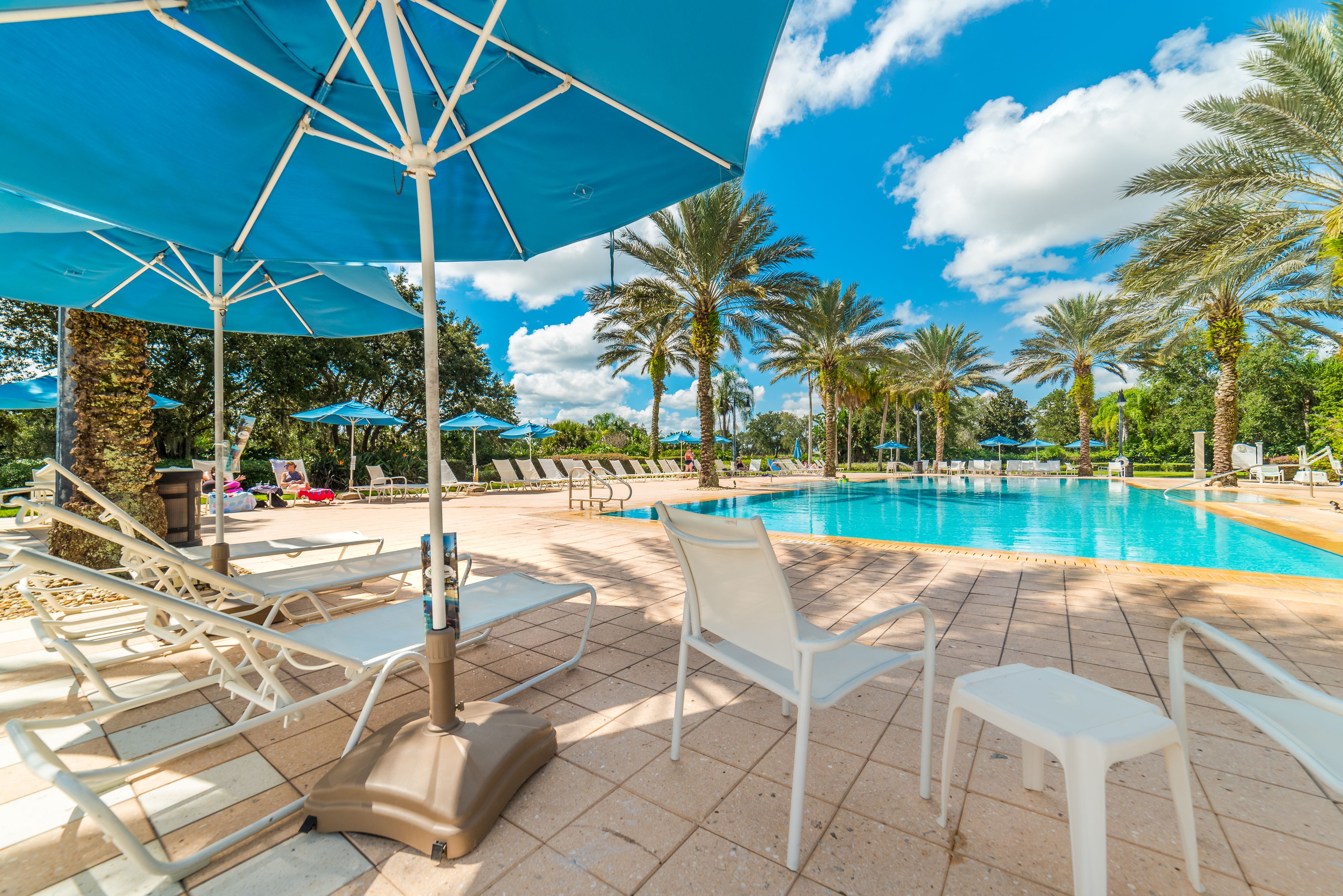 A poolside area with lounge chairs, umbrellas, and palm trees.