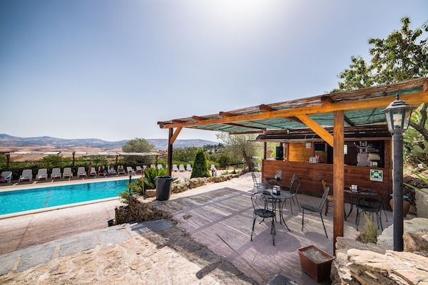 Seasonal outdoor pool, sun loungers