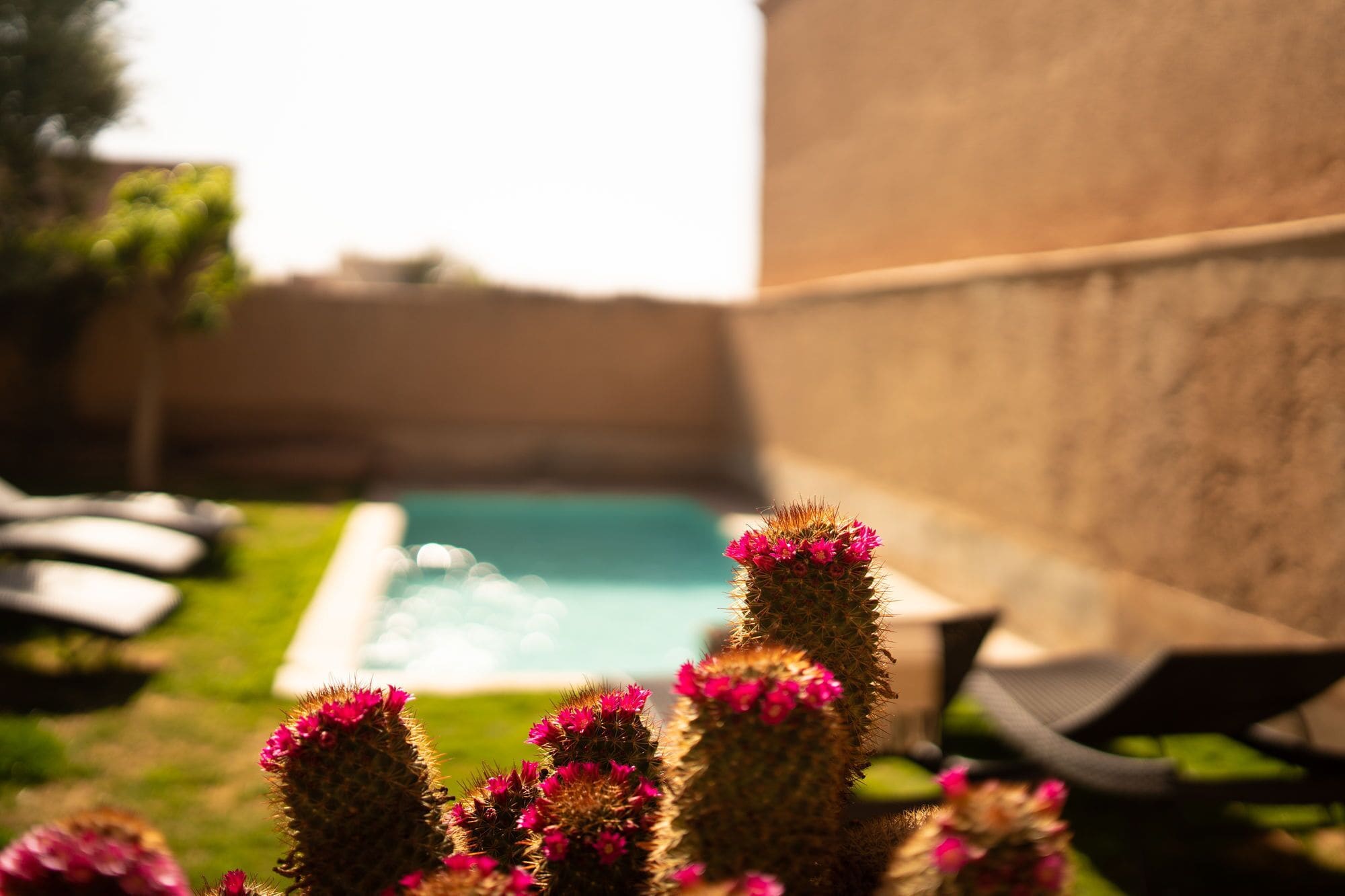 Chambre Double Supérieure, 1 grand lit, vue piscine | Piscine extérieure | Piscine extérieure, chaises longues