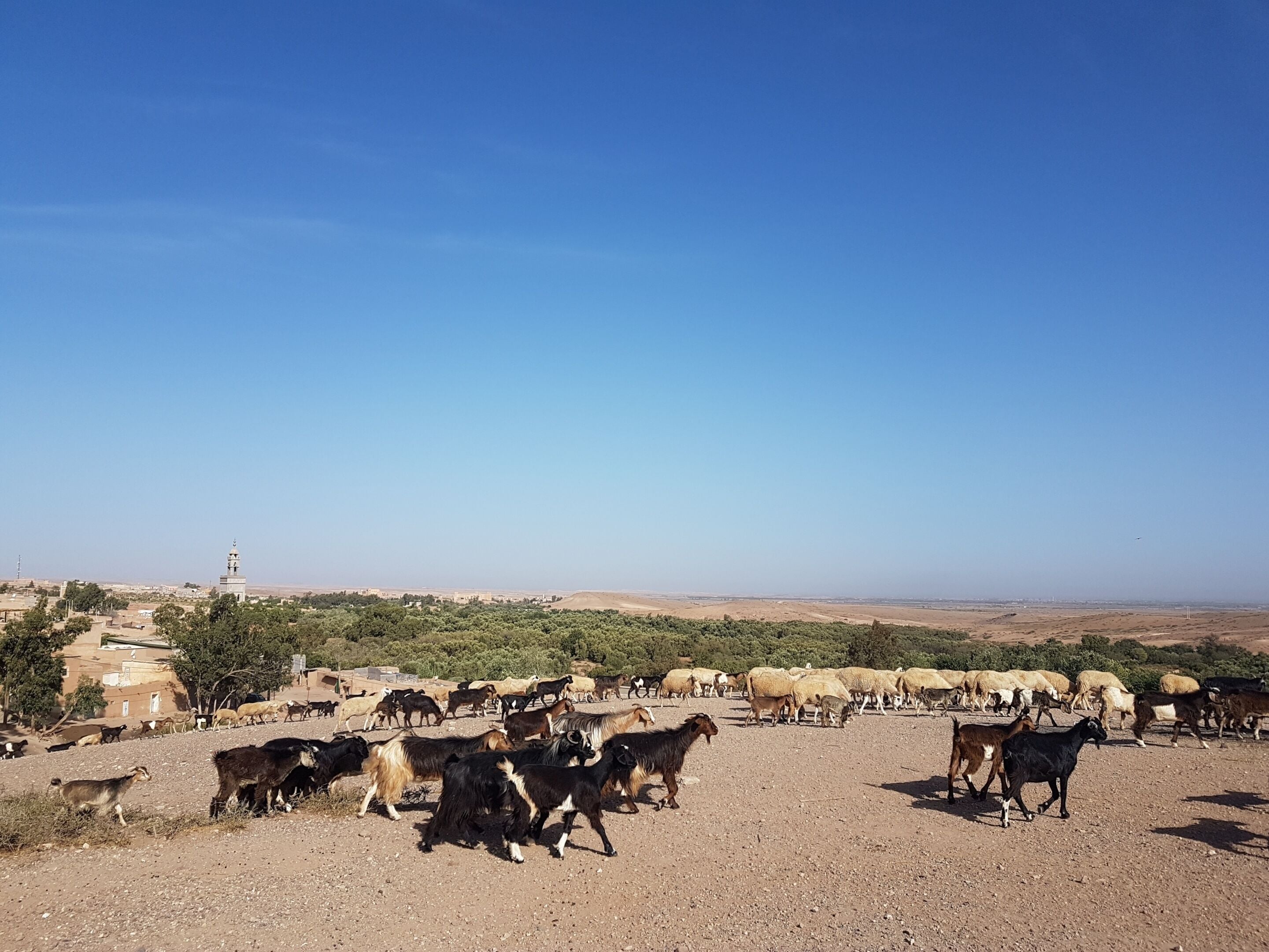 Foto - Tagadert Lodge