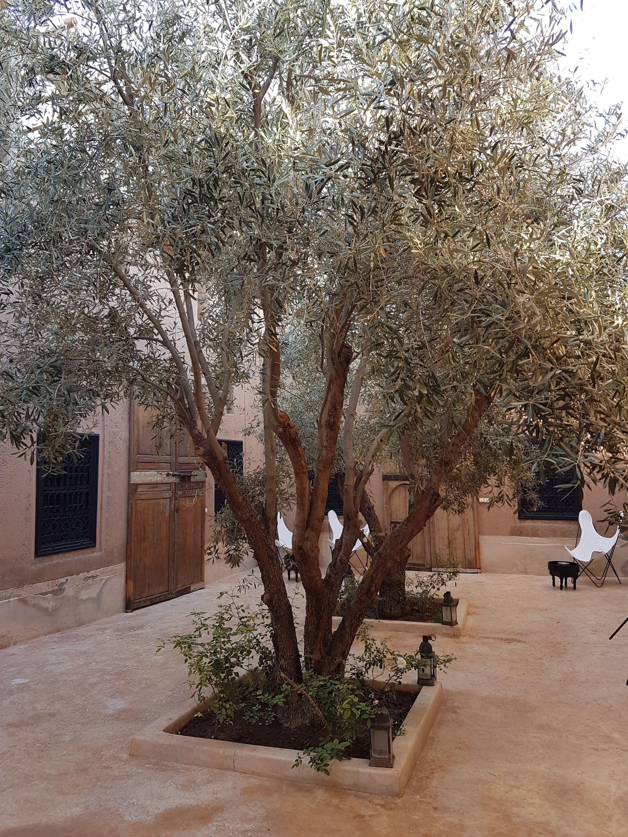 Foto - Tagadert Lodge