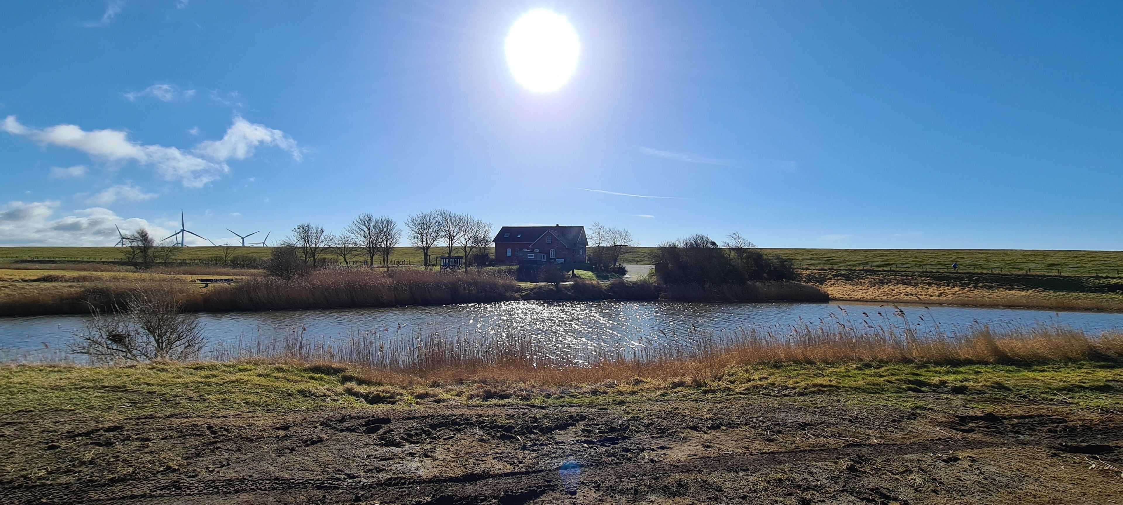 A rural landscape with a house near a pond, surrounded by fields and wind turbines.