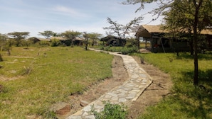 Un sentier de pierres mène à un bâtiment rustique doté d’un toit de chaume, entouré de prairies verdoyantes et de quelques arbres clairsemés.