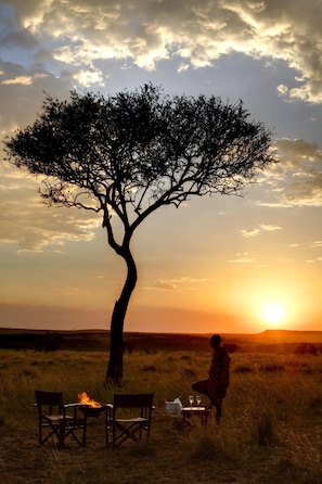 A solitary tree in a grassy field with a sunset in the background. - Nyumbu Camp (Maasai Mara)