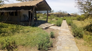 Une cabane rustique avec un toit de chaume, un sentier de pierres menant à celle-ci et une zone herbeuse à la végétation clairsemée.