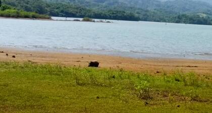 Yoho Lavonrich Bungalow