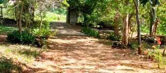 Yoho Lavonrich Bungalow