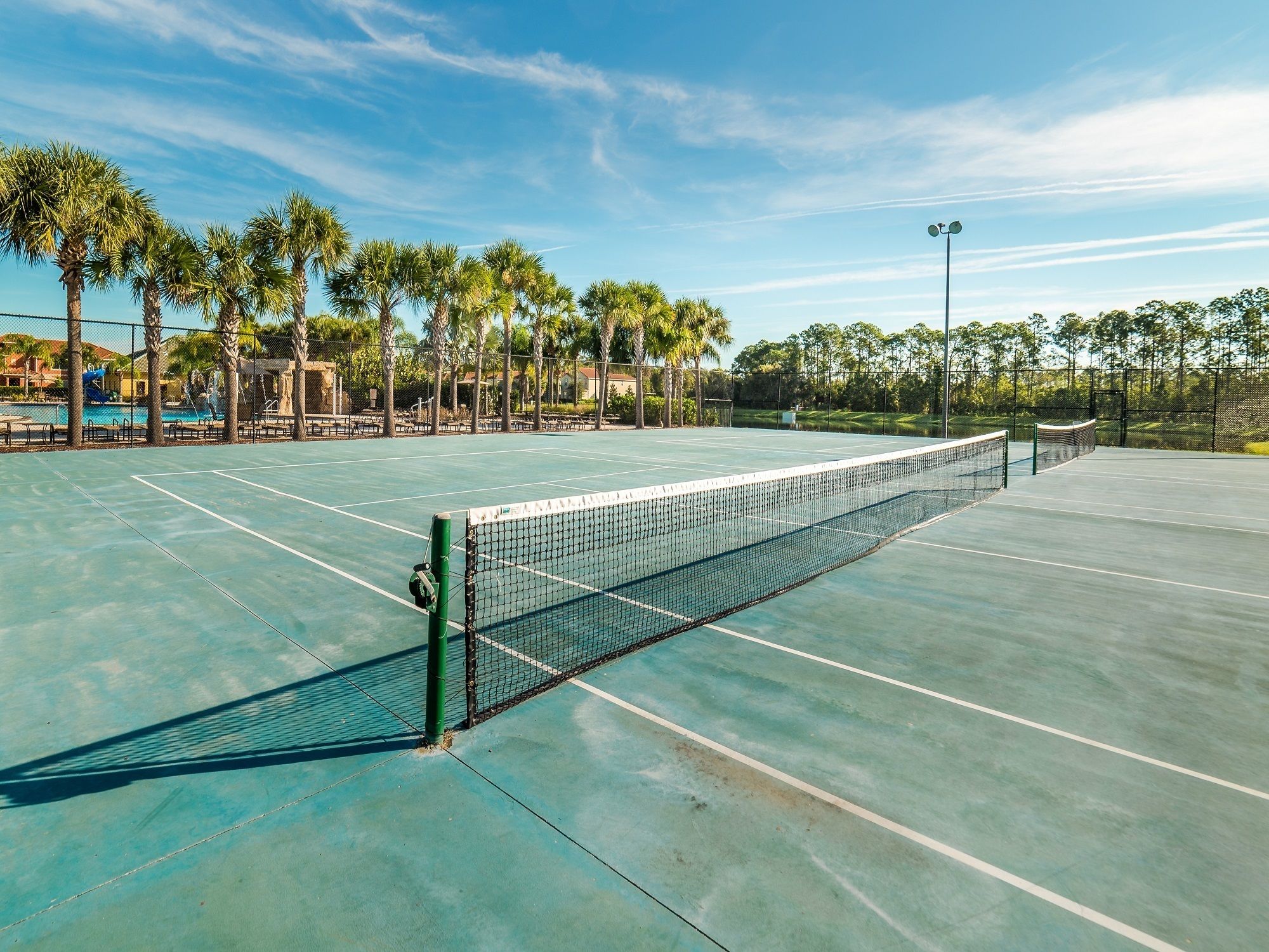A tennis court with a net, surrounded by palm trees and a fence.