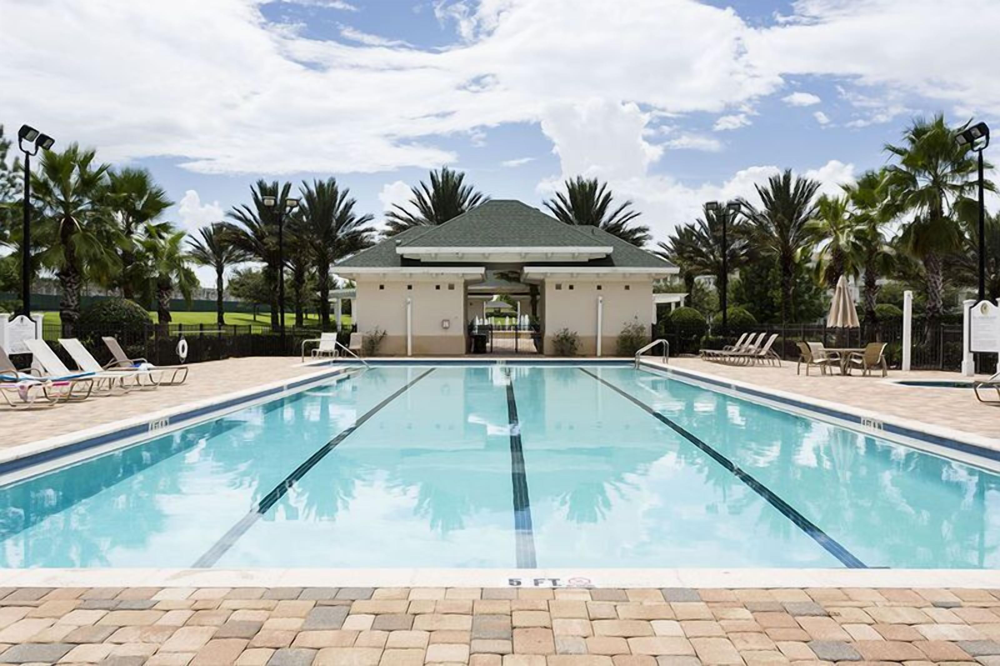 A swimming pool with lounge chairs and palm trees.