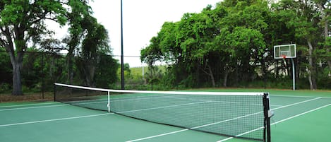 Una cancha de tenis con una red, rodeada de árboles y un aro de baloncesto.