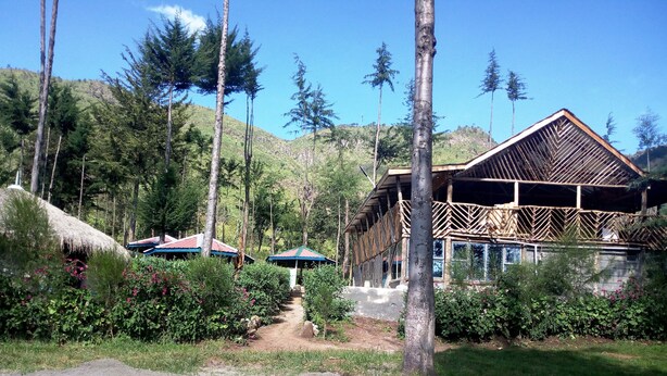 A rustic lodge with thatched-roof huts, surrounded by lush greenery and tall trees. - Maverick Camp Rondavels and Homestay (Aberdare National Park)