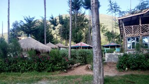 A rustic outdoor area with thatched-roof huts, a dirt path, and lush greenery. - Maverick Camp Rondavels and Homestay (Aberdare National Park)