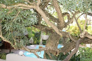 Uma árvore com cestos suspensos e uma piscina ao fundo.