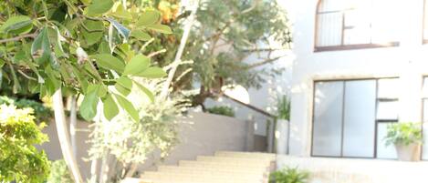 A building with a staircase leading to a door, surrounded by greenery and potted plants.