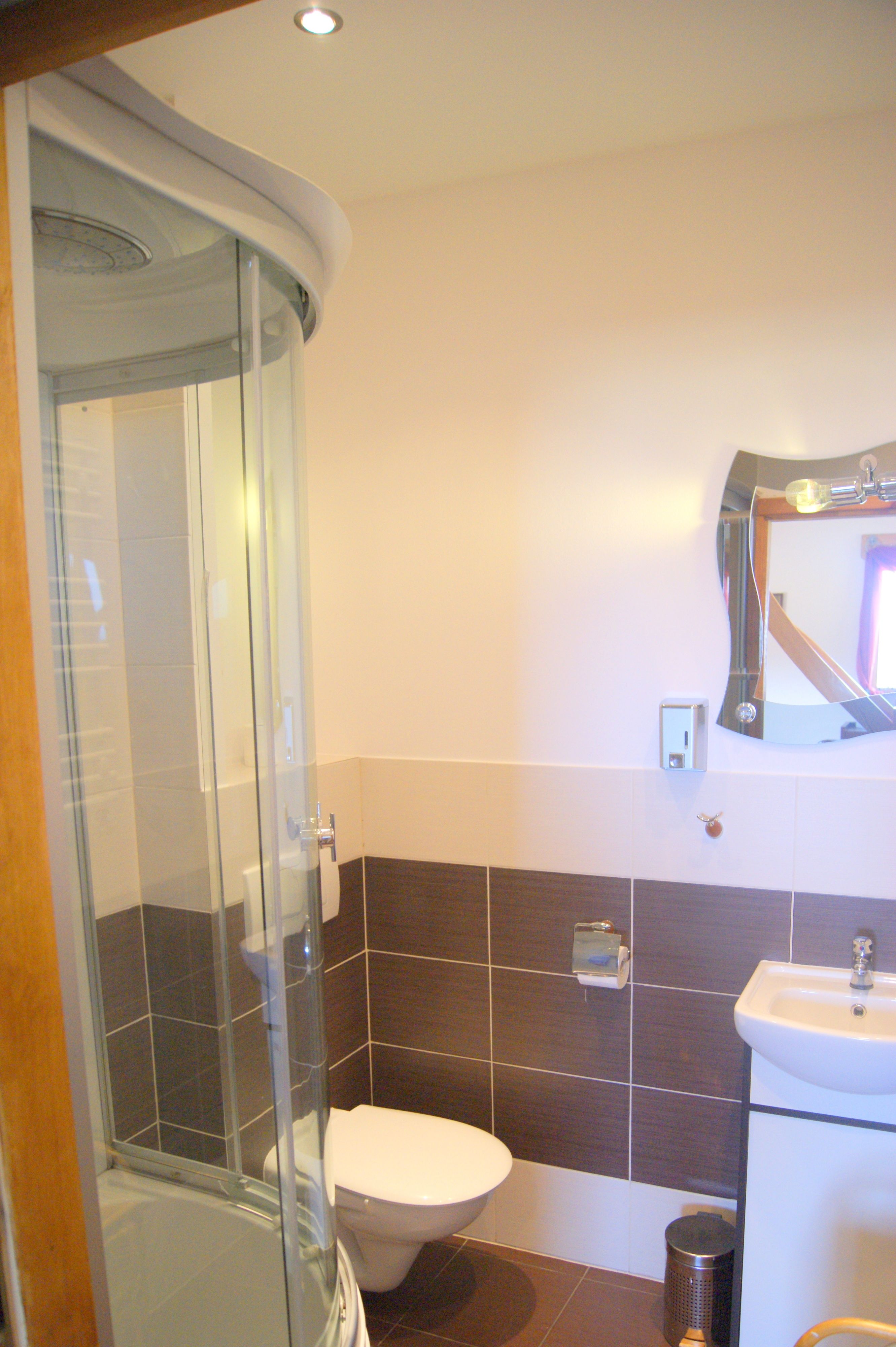 A bathroom with a glass-enclosed shower, a white toilet, a sink, and a mirror on the wall.