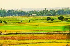 Land view from property