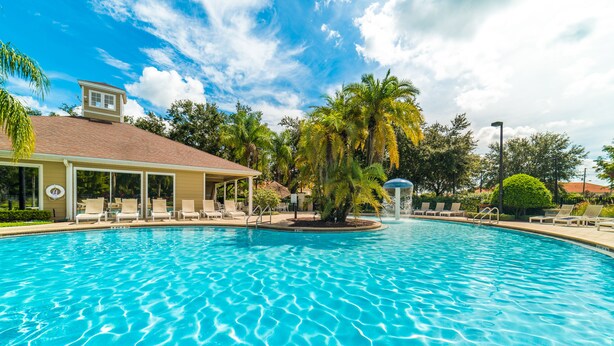 A swimming pool with clear blue water, surrounded by lounge chairs and palm trees.
