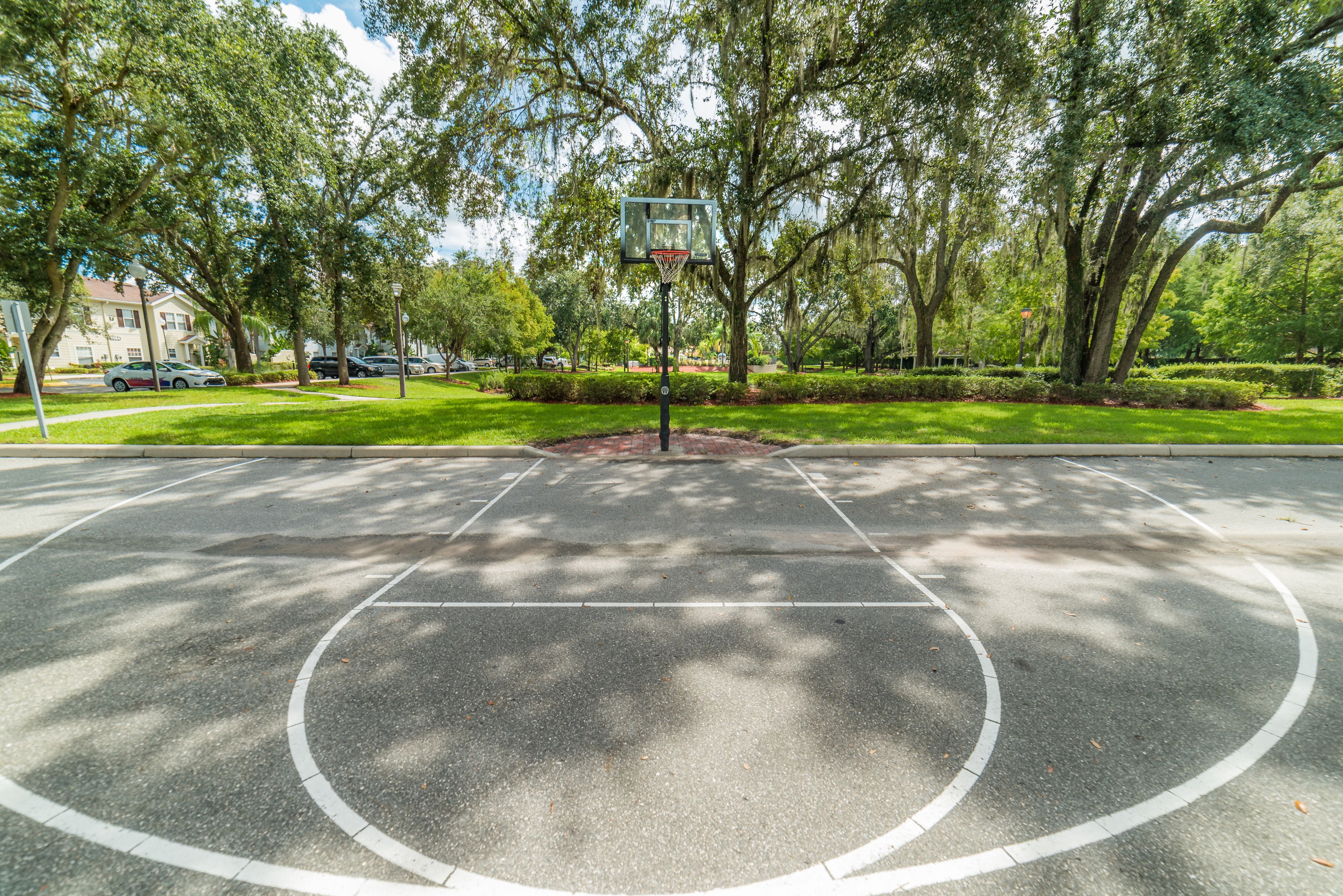 A basketball court with a hoop, surrounded by trees and a grassy area.