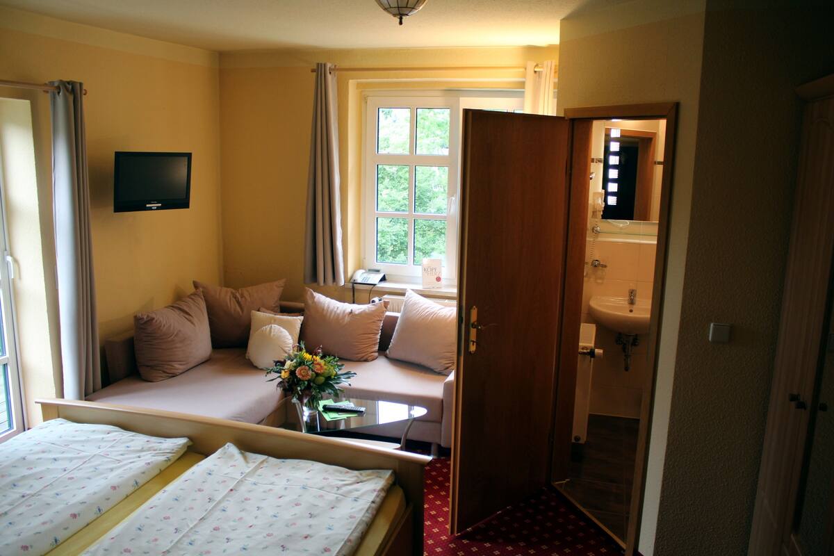 Habitación de hotel con cama, sofá cama, televisión, ventana con cortinas, baño con lavamanos y espejo.