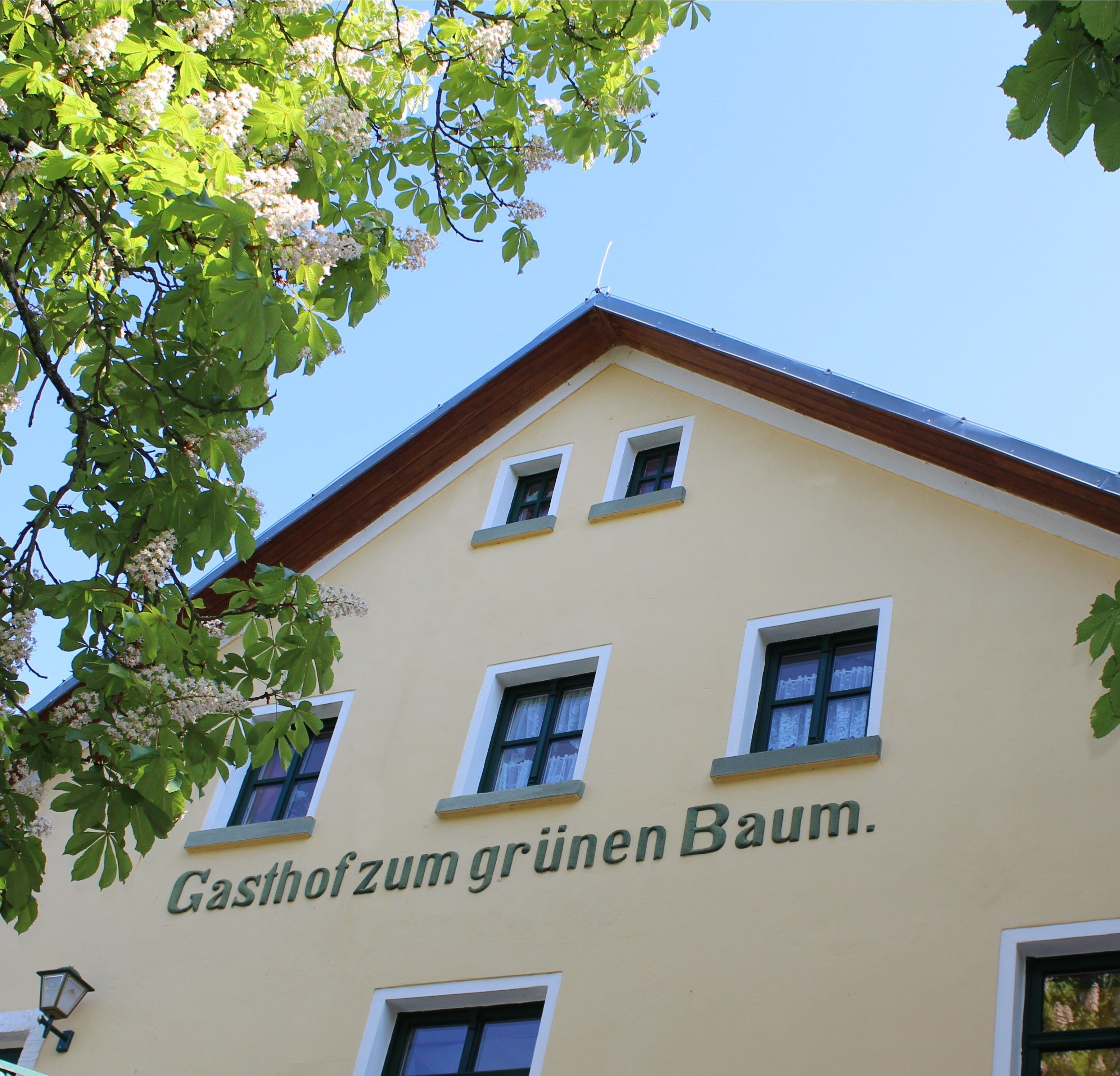 A building with a sign reading "Gasthof zum grünen Baum."