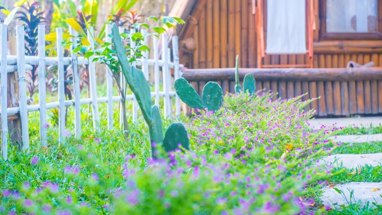 Foto - Balili Farm At Nacpan