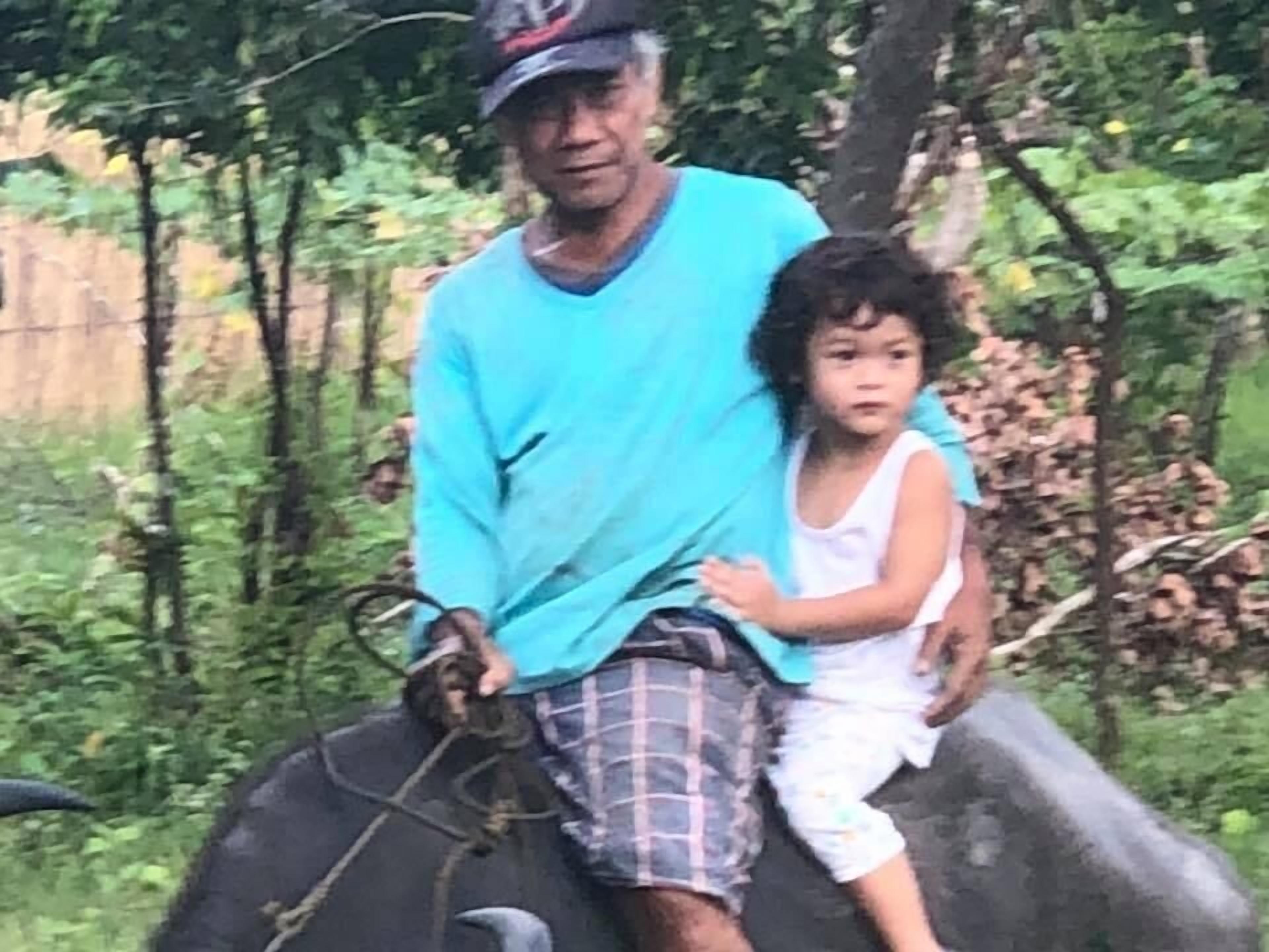 Foto - Balili Farm At Nacpan