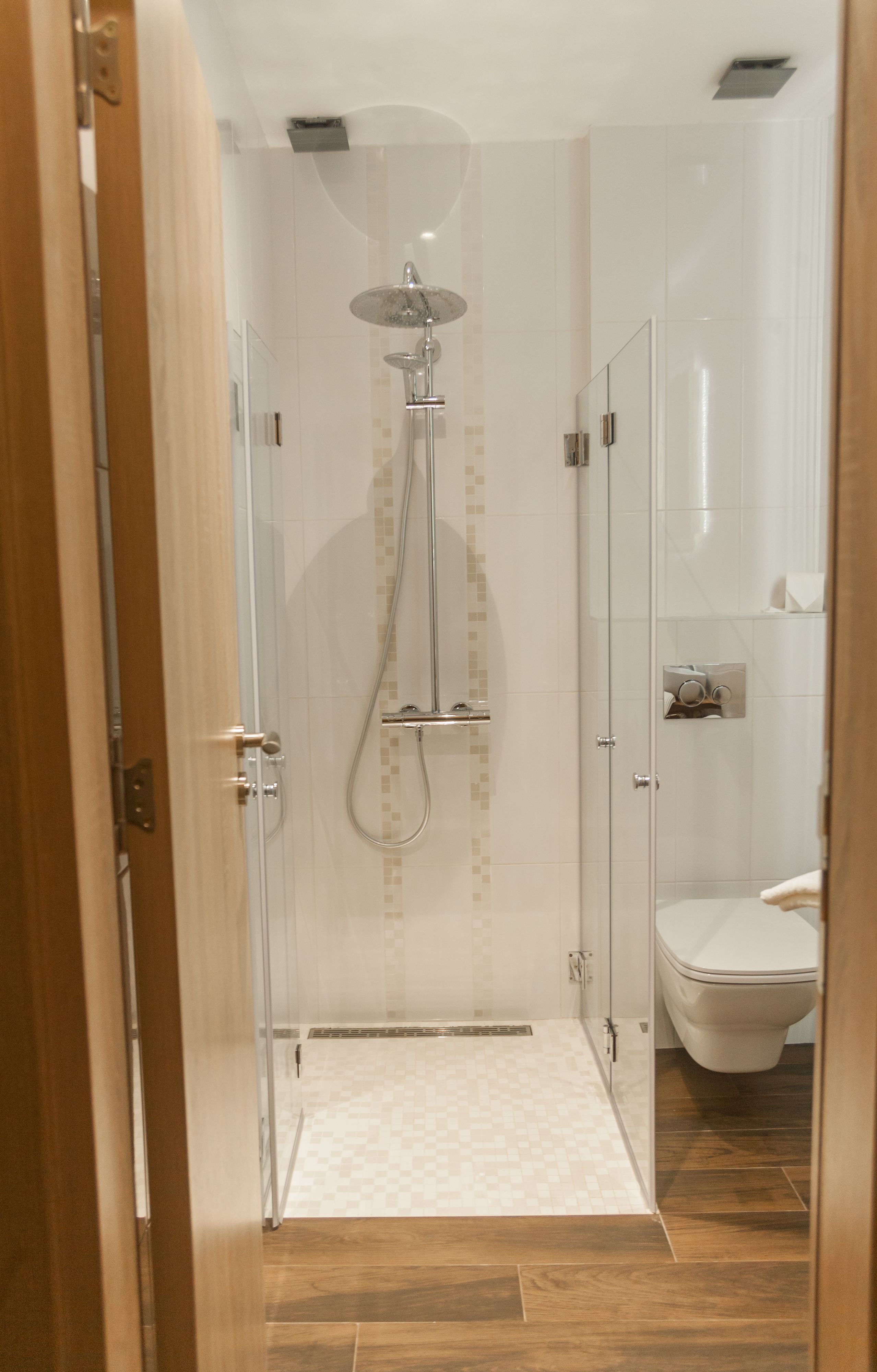 economy room (semi-basement) | bathroom shower