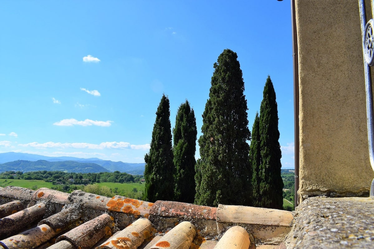 Vista desde un tejado con un paisaje de altos cipreses y montañas distantes.