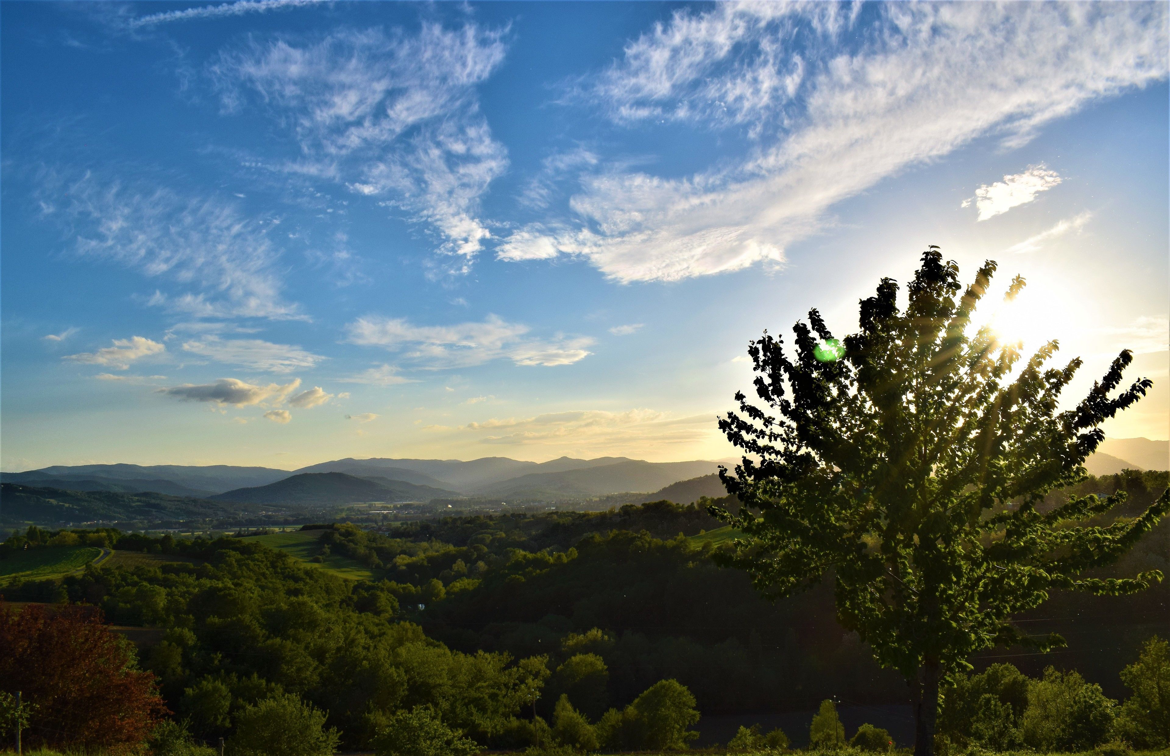 A landscape with a tree in the foreground and a view of distant mountains under a clear sky.