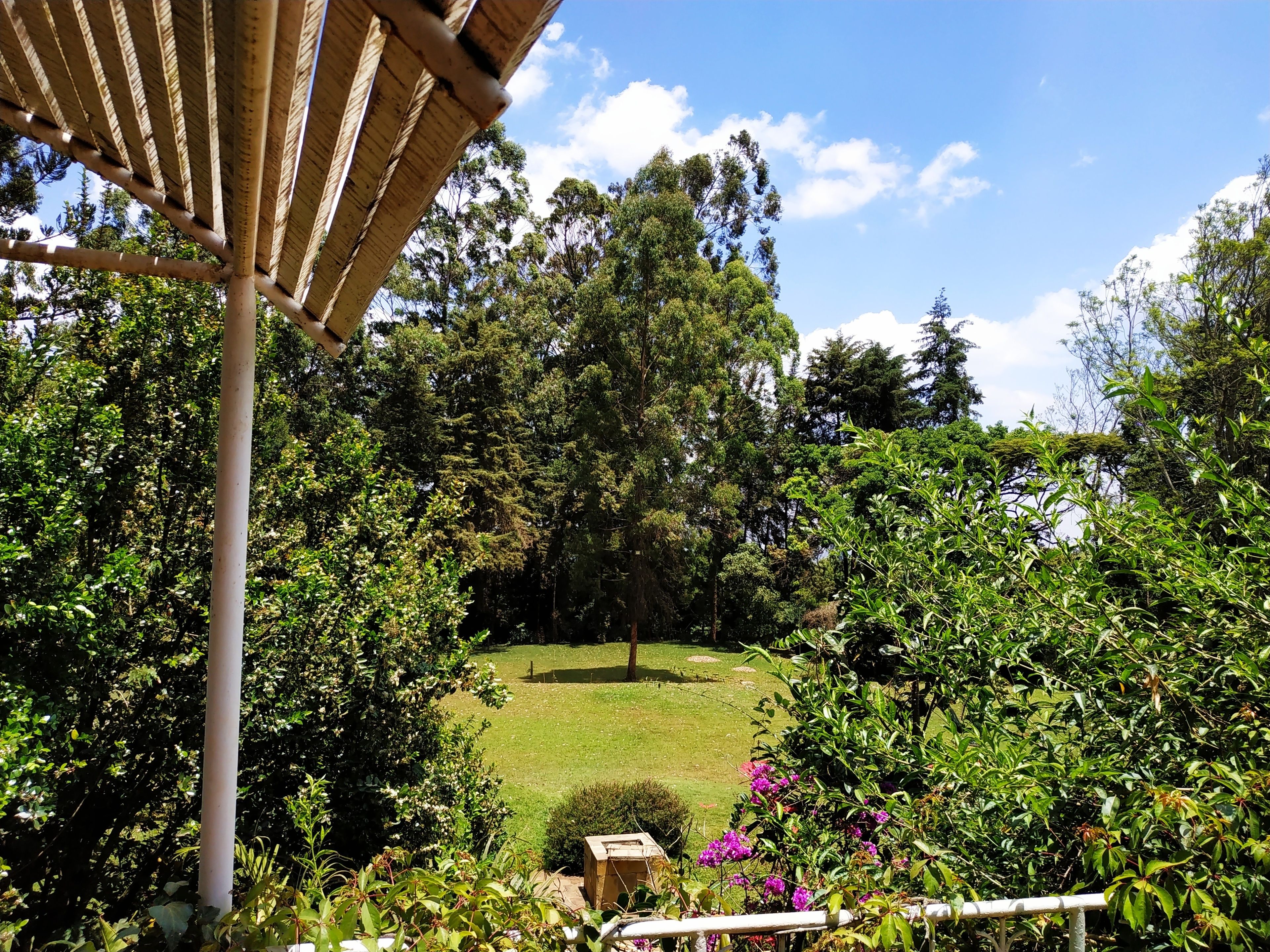 Balcon