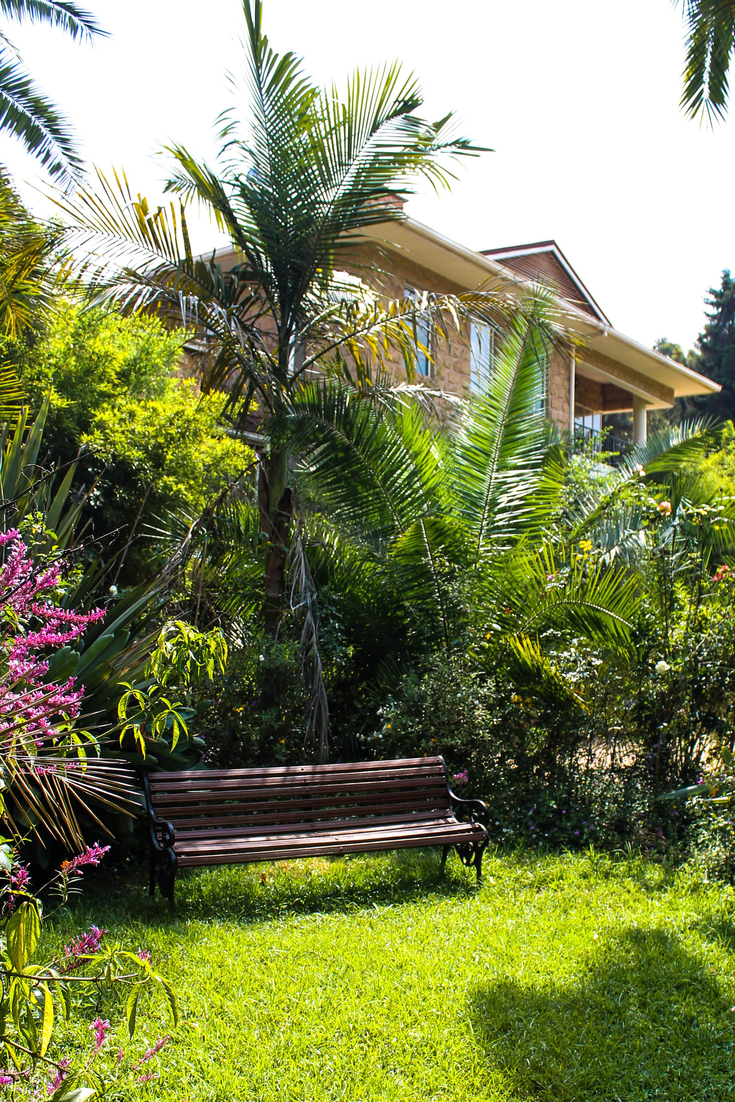 Un jardin avec un banc, une végétation luxuriante et un bâtiment en arrière-plan.