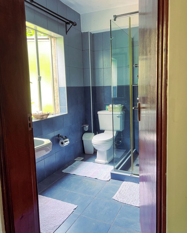 A bathroom with a toilet, sink, and shower area. - Zereniti House (Limuru)