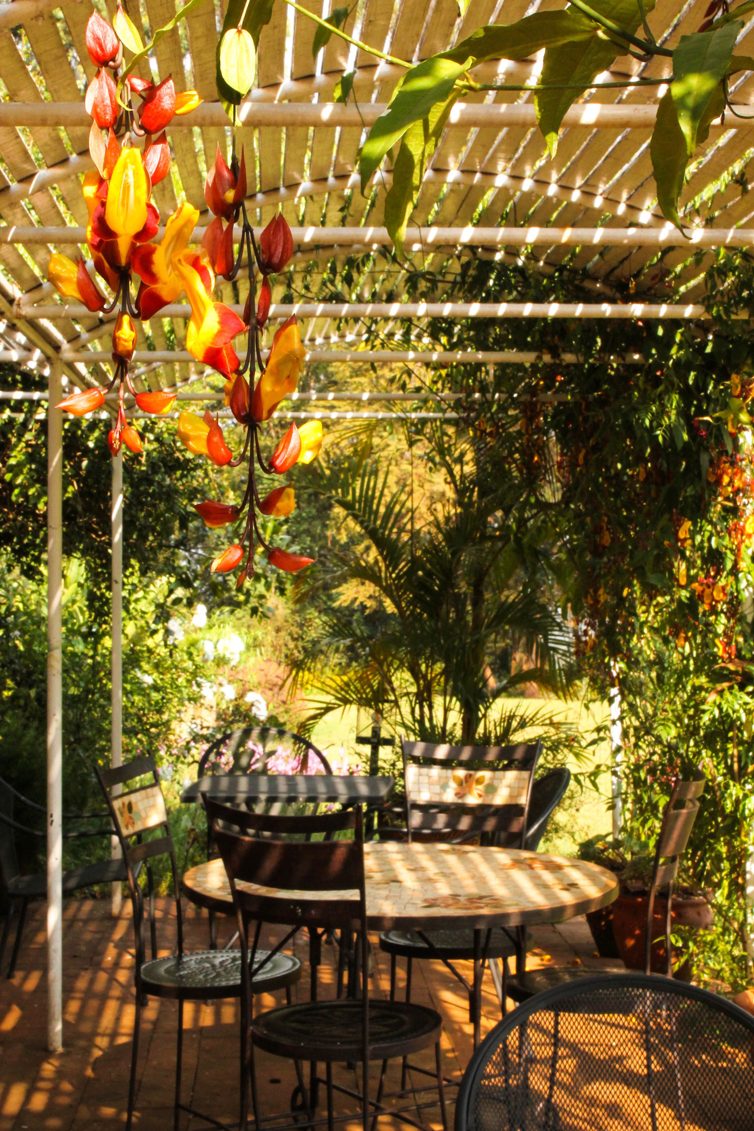Un patio exterior con una pérgola, mesas, sillas y plantas en macetas.