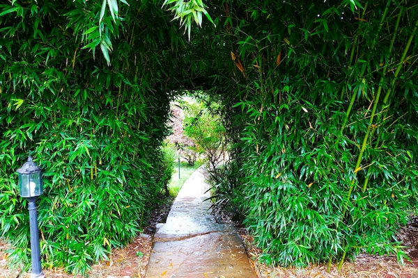 Entrada da propriedade
