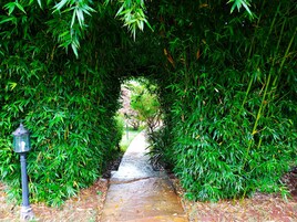 Entrada da propriedade