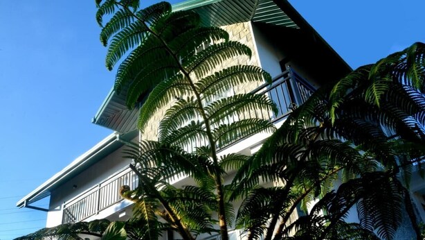A multi-story building with balconies and large green trees in front. - The Fern Inn (Nuwara Eliya)