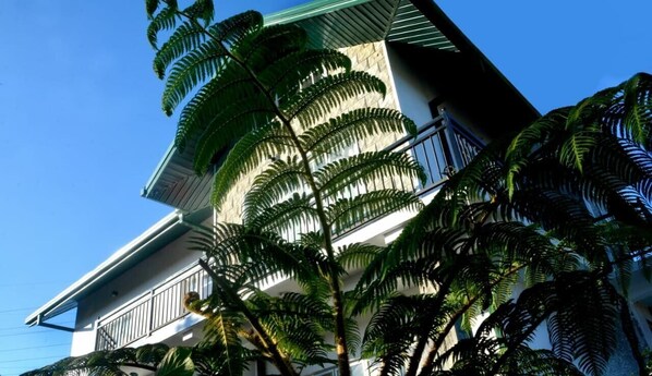 Family Villa | Blackout drapes, iron/ironing board, free WiFi, bed sheets - The Fern Inn (Nuwara Eliya)