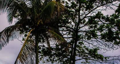 Pousada Praia do Ribeiro