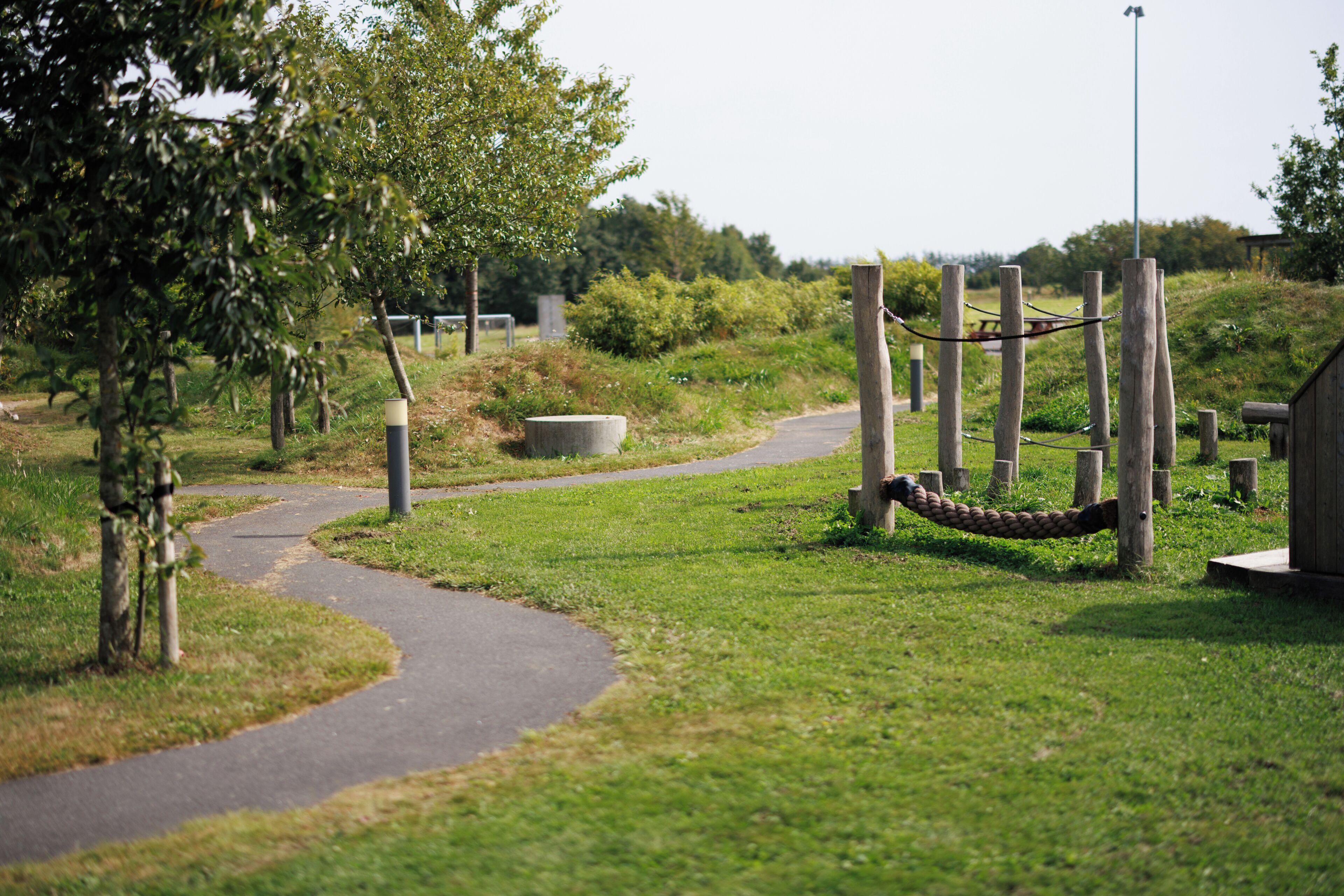 A pathway leading through a park with a rope swing, trees, and a grassy area.